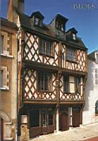Blois - Maison des acrobates (15)